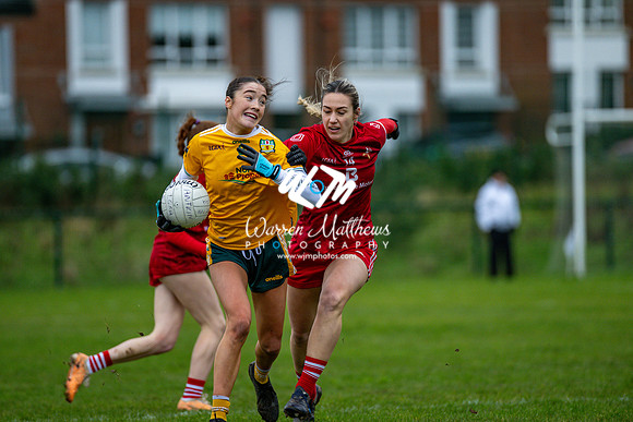 Antrim v Louth (Lidl National League Division 3)Round 1 - 2024012116320659