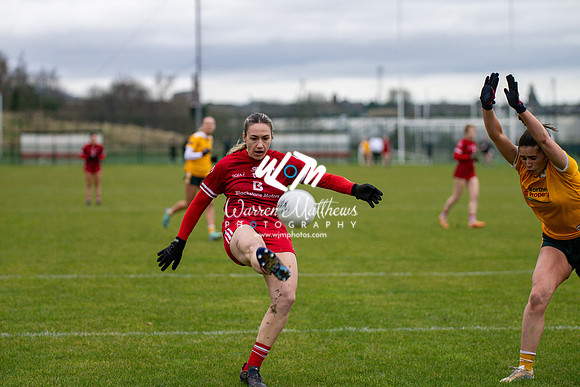 Antrim v Louth (Lidl National League Division 3)Round 1 - 2024012116574541