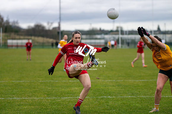 Antrim v Louth (Lidl National League Division 3)Round 1 - 2024012116574546