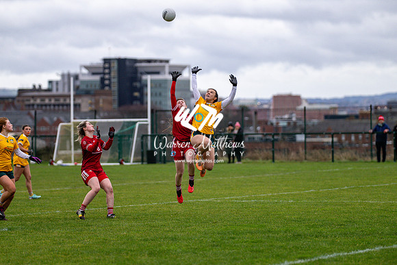 Antrim v Louth (Lidl National League Division 3)Round 1 - 2024012116574840