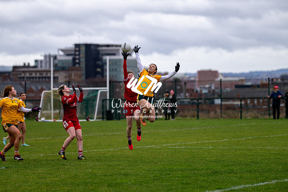 Antrim v Louth (Lidl National League Division 3)Round 1 - 2024012116574845