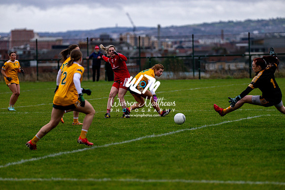 Antrim v Louth (Lidl National League Division 3)Round 1 - 2024012116575047