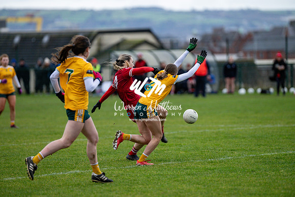 Antrim v Louth (Lidl National League Division 3)Round 1 - 2024012117065322