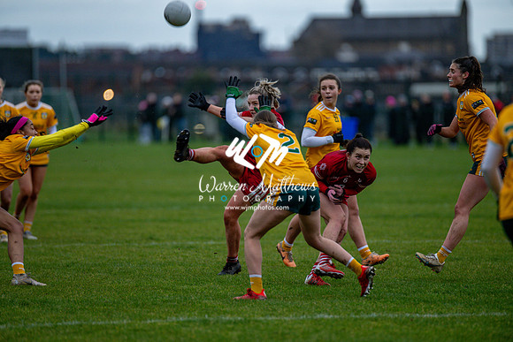 Antrim v Louth (Lidl National League Division 3)Round 1 - 2024012117084613