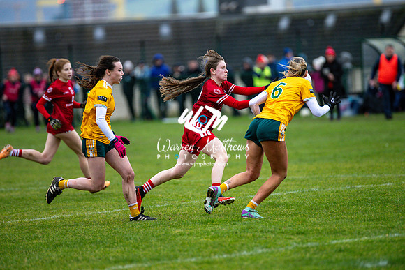 Antrim v Louth (Lidl National League Division 3)Round 1 - 2024012117131700