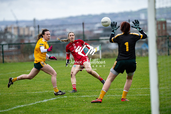 Antrim v Louth (Lidl National League Division 3)Round 1 - 2024012117131907
