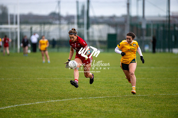 Antrim v Louth (Lidl National League Division 3)Round 1 - 2024012117161401