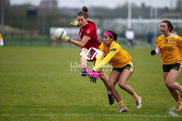 Antrim v Louth (Lidl National League Division 3)Round 1 - 2024012117161553