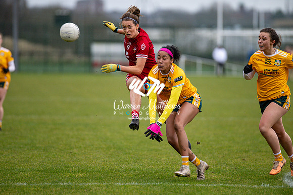 Antrim v Louth (Lidl National League Division 3)Round 1 - 2024012117161558