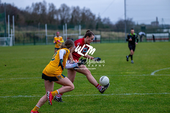 Antrim v Louth (Lidl National League Division 3)Round 1 - 2024012117264743