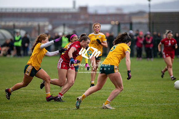 Antrim v Louth (Lidl National League Division 3)Round 1 - 2024012117282528