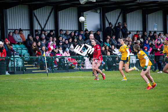 Antrim v Louth (Lidl National League Division 3)Round 1 - 2024012117274254