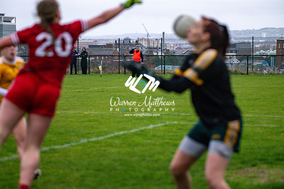 Antrim v Louth (Lidl National League Division 3)Round 1 - 2024012117290437
