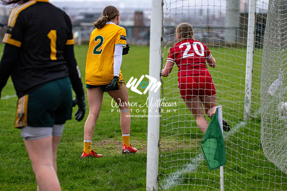 Antrim v Louth (Lidl National League Division 3)Round 1 - 2024012117290559
