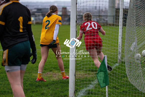 Antrim v Louth (Lidl National League Division 3)Round 1 - 2024012117290564