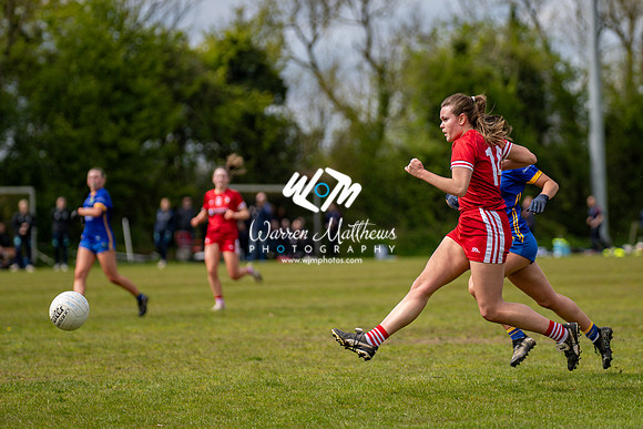 20240427 - Wicklow v Louth (Leinster LGFA Minor C Championship) - 202404271421413000