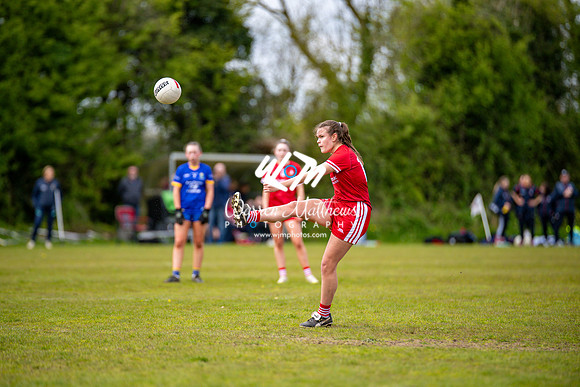 20240427 - Wicklow v Louth (Leinster LGFA Minor C Championship) - 202404271415192700