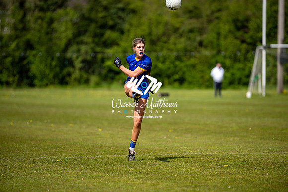 20240427 - Wicklow v Louth (Leinster LGFA Minor C Championship) - 202404271451259400
