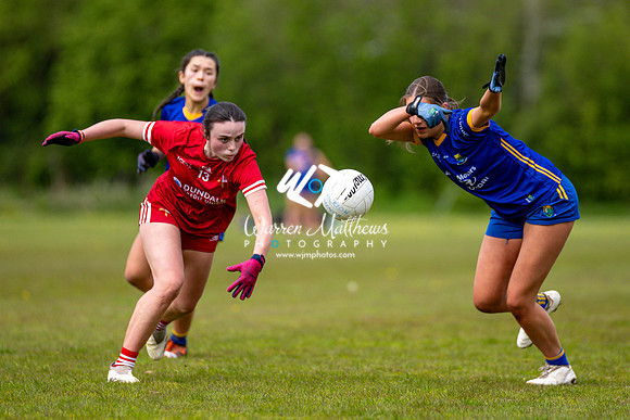 20240427 - Wicklow v Louth (Leinster LGFA Minor C Championship) - 202404271413142800