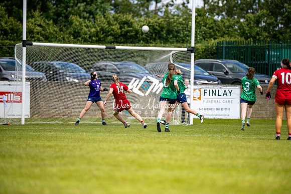 20240616 - Louth v Limerick (TG4 All Ireland JFC) - 202406161417353300