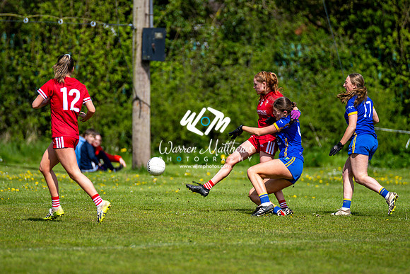 20240427 - Wicklow v Louth (Leinster LGFA Minor C Championship) - 202404271454571900