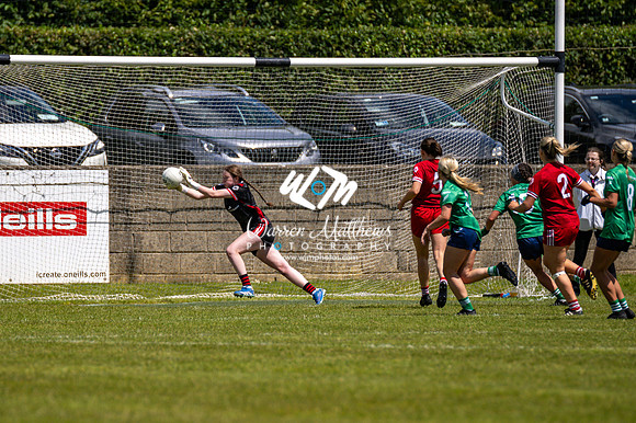 20240616 - Louth v Limerick (TG4 All Ireland JFC) - 202406161308452400