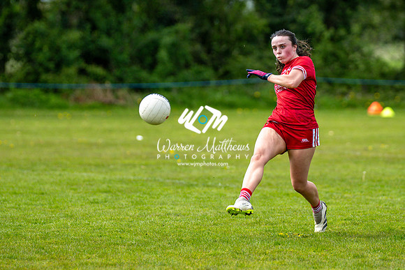 20240427 - Wicklow v Louth (Leinster LGFA Minor C Championship) - 202404271422434700