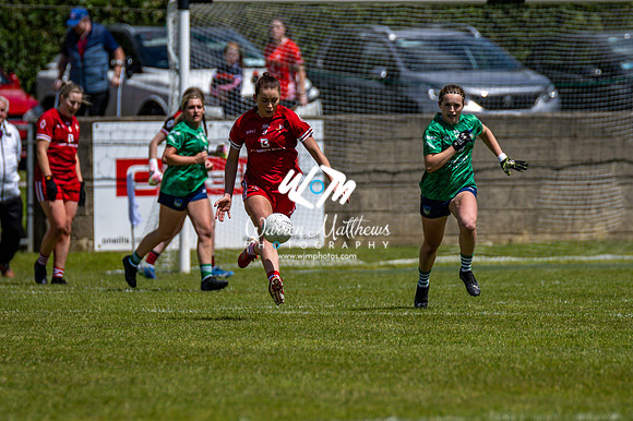 20240616 - Louth v Limerick (TG4 All Ireland JFC) - 202406161308525300