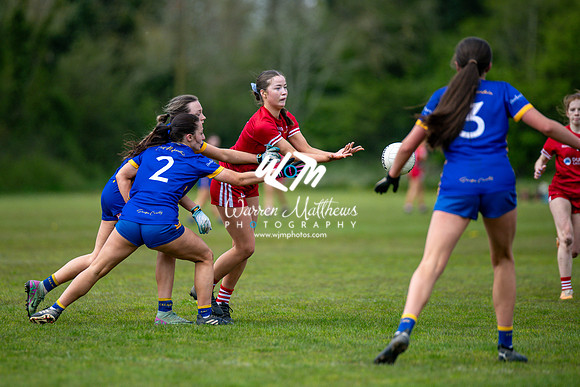 20240427 - Wicklow v Louth (Leinster LGFA Minor C Championship) - 202404271414495600