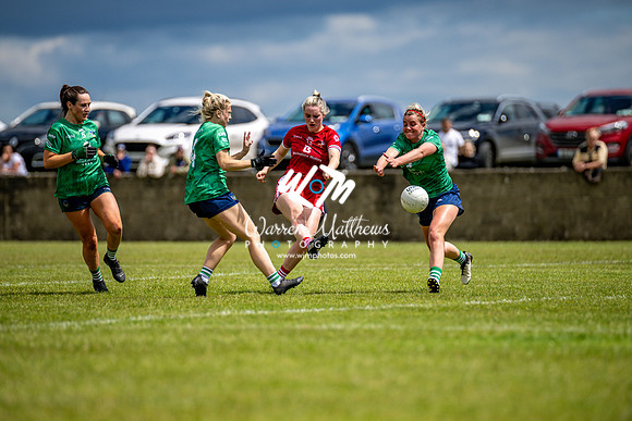 20240616 - Louth v Limerick (TG4 All Ireland JFC) - 202406161325463900