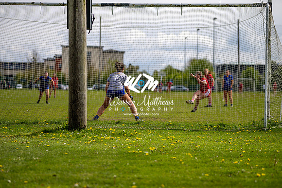 20240427 - Wicklow v Louth (Leinster LGFA Minor C Championship) - 202404271509532400
