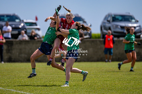 20240616 - Louth v Limerick (TG4 All Ireland JFC) - 202406161310411700