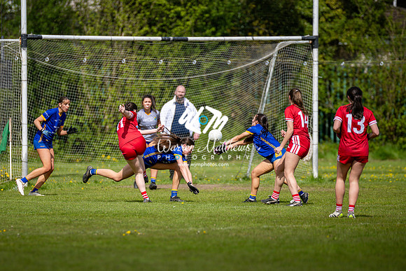 20240427 - Wicklow v Louth (Leinster LGFA Minor C Championship) - 202404271446151300