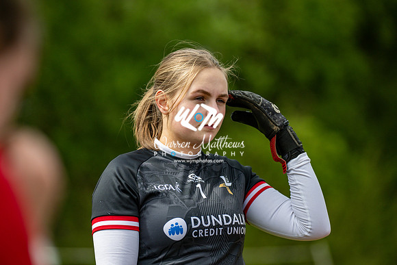 20240427 - Wicklow v Louth (Leinster LGFA Minor C Championship) - 202404271437431400