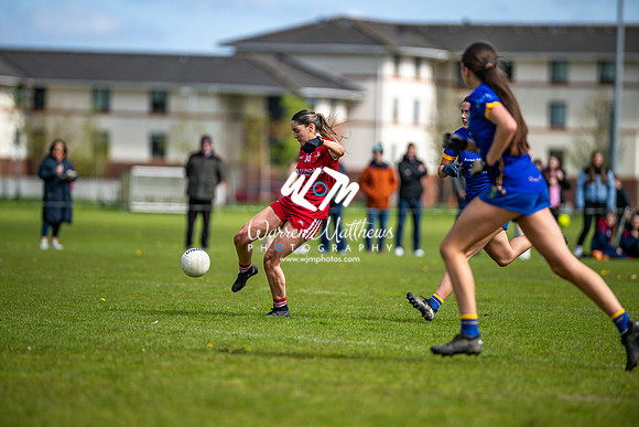 20240427 - Wicklow v Louth (Leinster LGFA Minor C Championship) - 202404271543552600