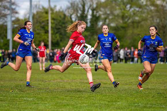 20240427 - Wicklow v Louth (Leinster LGFA Minor C Championship) - 202404271412540700