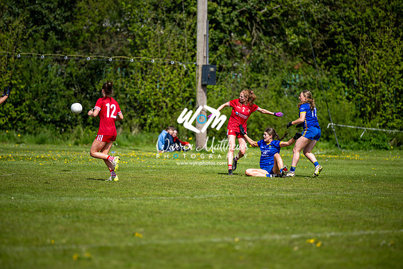 20240427 - Wicklow v Louth (Leinster LGFA Minor C Championship) - 202404271454574200