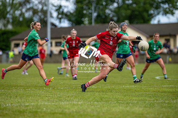 20240616 - Louth v Limerick (TG4 All Ireland JFC) - 202406161329087900