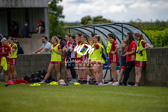 20240616 - Louth v Limerick (TG4 All Ireland JFC) - 202406161430323500