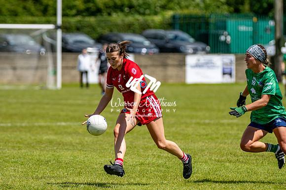 20240616 - Louth v Limerick (TG4 All Ireland JFC) - 202406161310318900