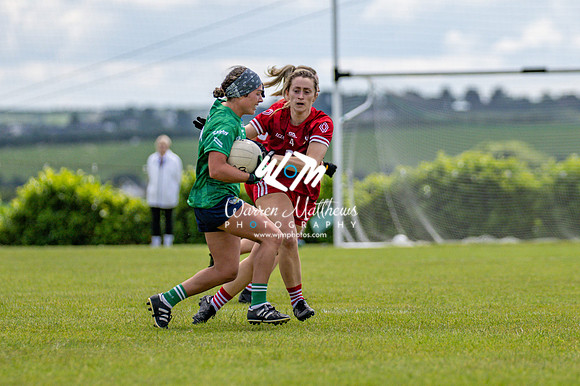 20240616 - Louth v Limerick (TG4 All Ireland JFC) - 202406161359215800