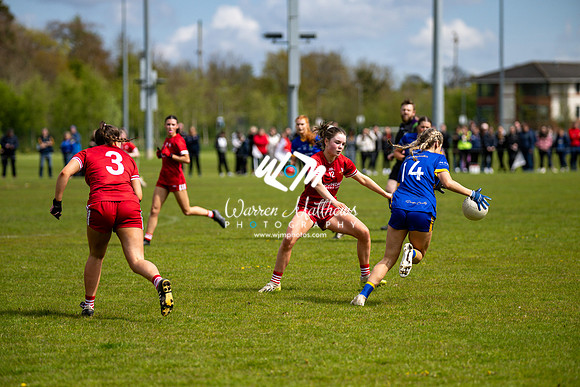20240427 - Wicklow v Louth (Leinster LGFA Minor C Championship) - 202404271428161300