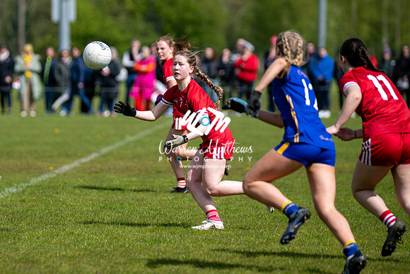 20240427 - Wicklow v Louth (Leinster LGFA Minor C Championship) - 202404271449586300