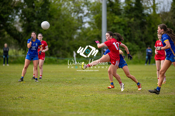 20240427 - Wicklow v Louth (Leinster LGFA Minor C Championship) - 202404271418288300