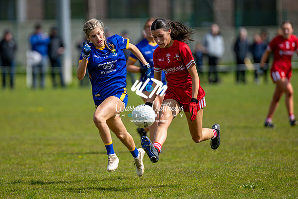 20240427 - Wicklow v Louth (Leinster LGFA Minor C Championship) - 202404271449552900