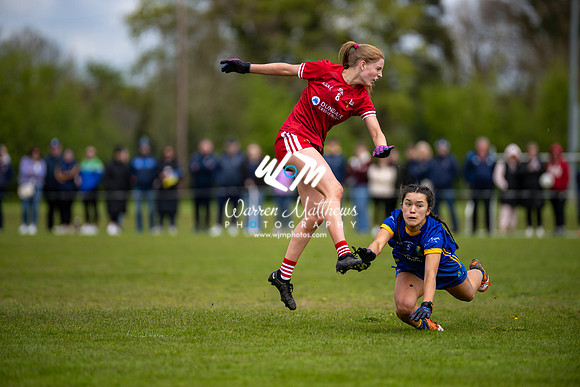 20240427 - Wicklow v Louth (Leinster LGFA Minor C Championship) - 202404271410348000