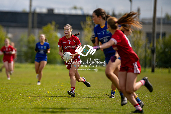 20240427 - Wicklow v Louth (Leinster LGFA Minor C Championship) - 202404271504548900