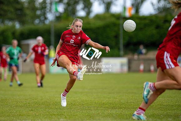 20240616 - Louth v Limerick (TG4 All Ireland JFC) - 202406161334109100