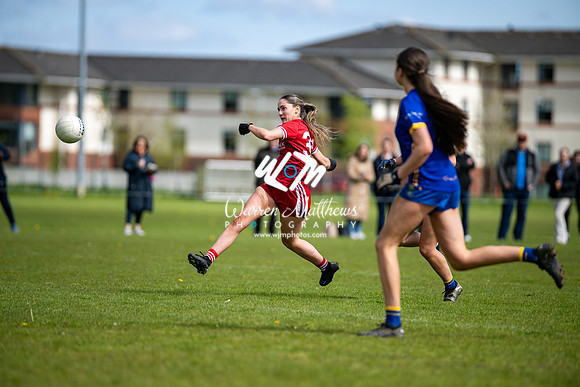20240427 - Wicklow v Louth (Leinster LGFA Minor C Championship) - 202404271543554100