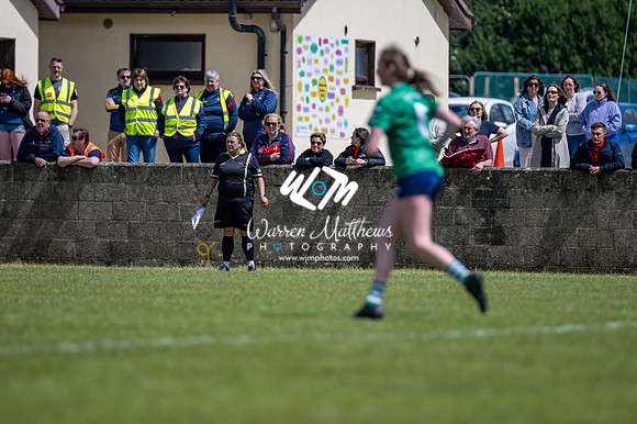 20240616 - Louth v Limerick (TG4 All Ireland JFC) - 202406161410118200